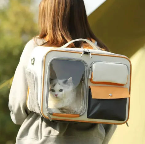 Pet Travel Backpack Feeling My Adventure