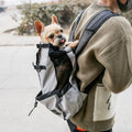 Double Shoulder Dog Carrier Backpack for Portable Travel