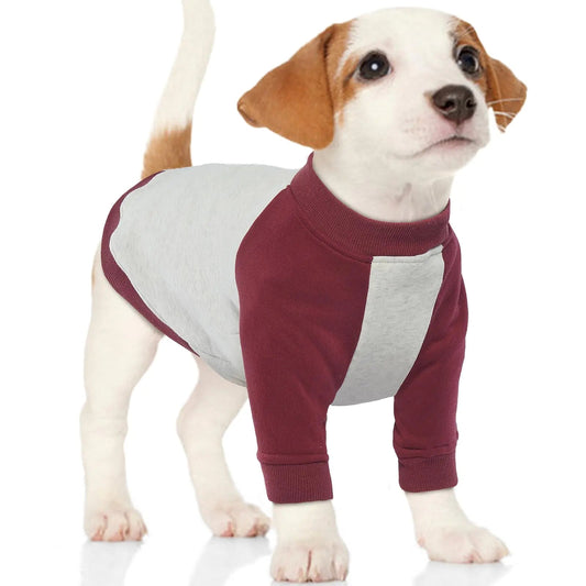 QBLEEV Dog Sweaters for Medium Dogs Fleece Lined Dog Sweatshirt Warm Pullover Dog Clothes for Winter Cozy Dog Sweater Pet Winter Coat Dog Sweatshirts for Small Medium Large Dogs M Feeling My Adventure