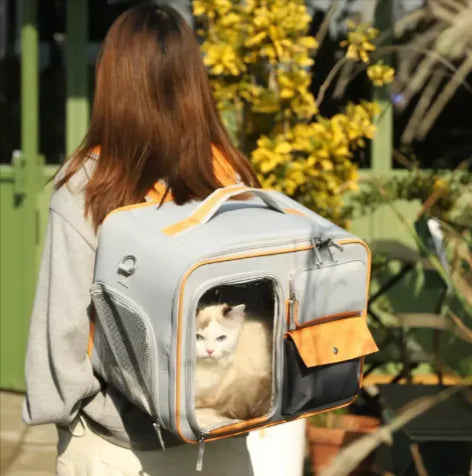 Pet Travel Backpack Feeling My Adventure