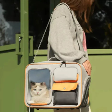 Pet Travel Backpack Feeling My Adventure